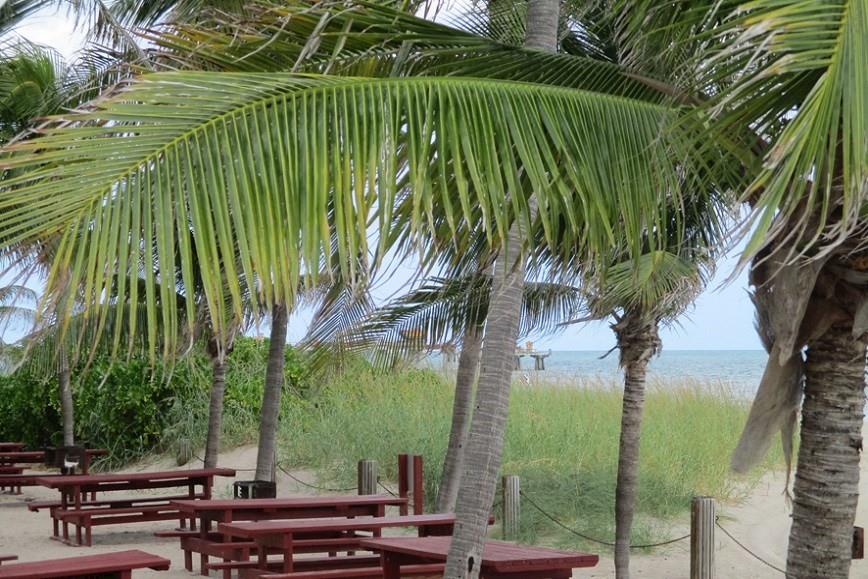 Pompano Beach Club - Residential