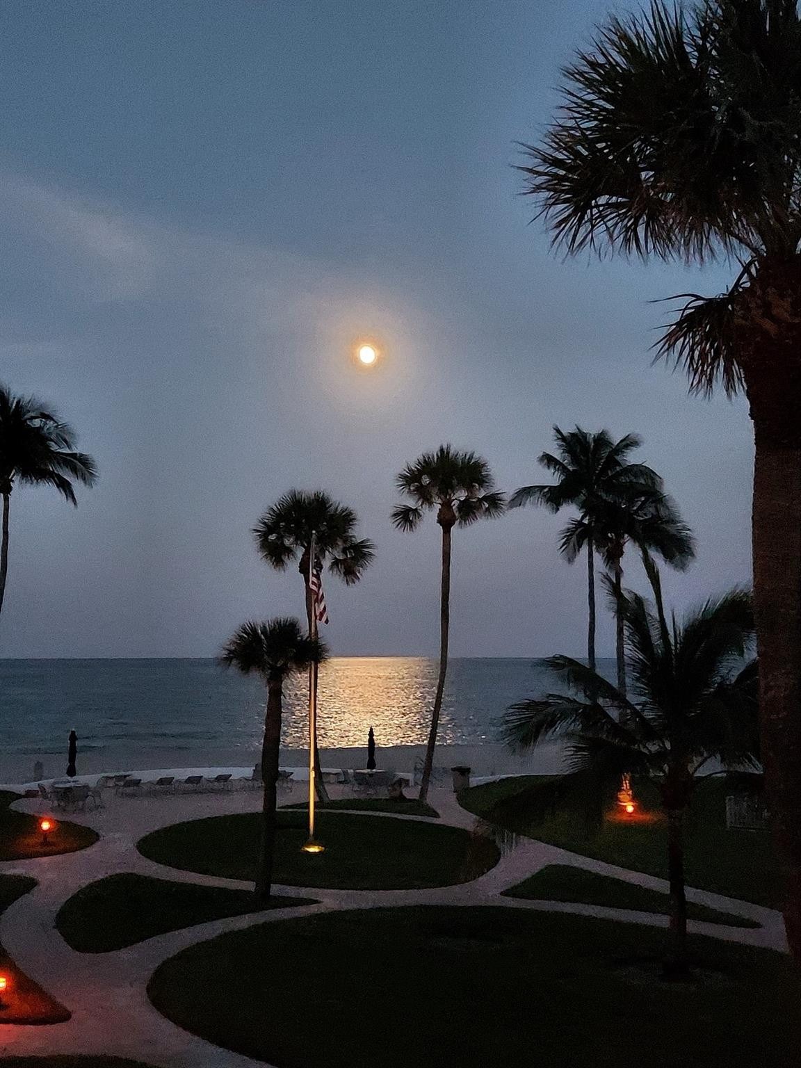 OCEAN EAST - Residential