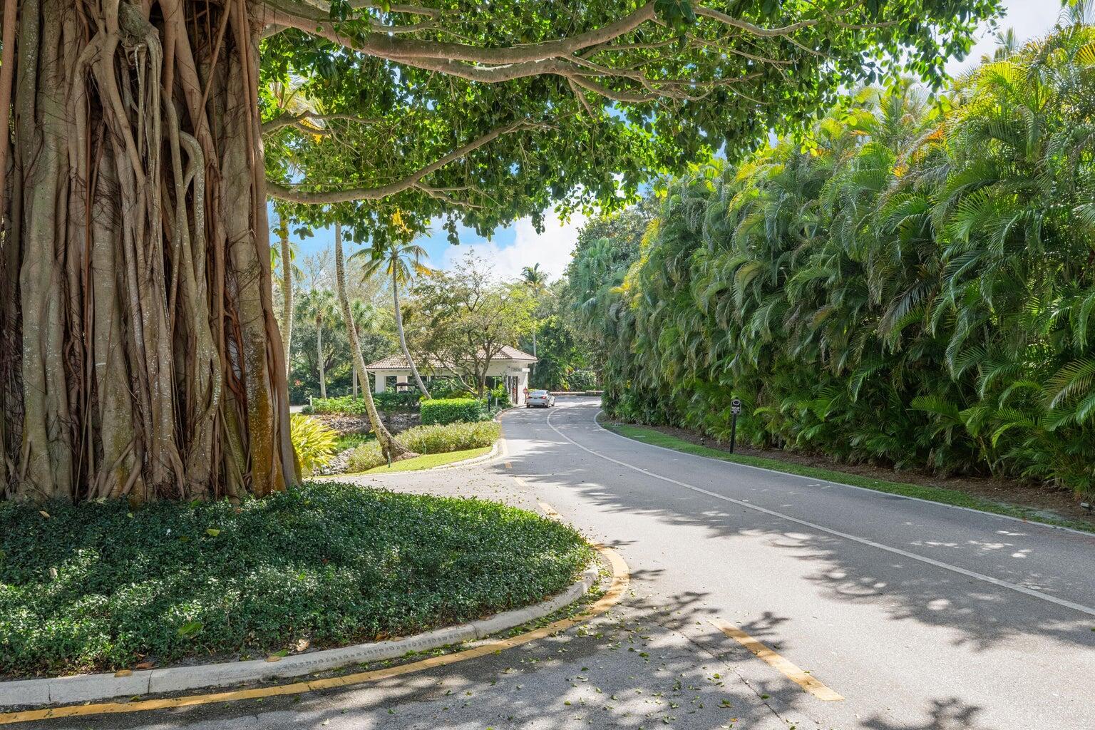 POLO ISLAND CONDO - Residential Lease