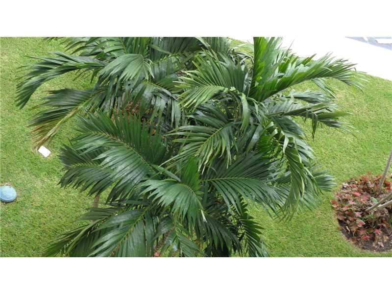 CORAL RIDGE TOWERS NORTH - Residential