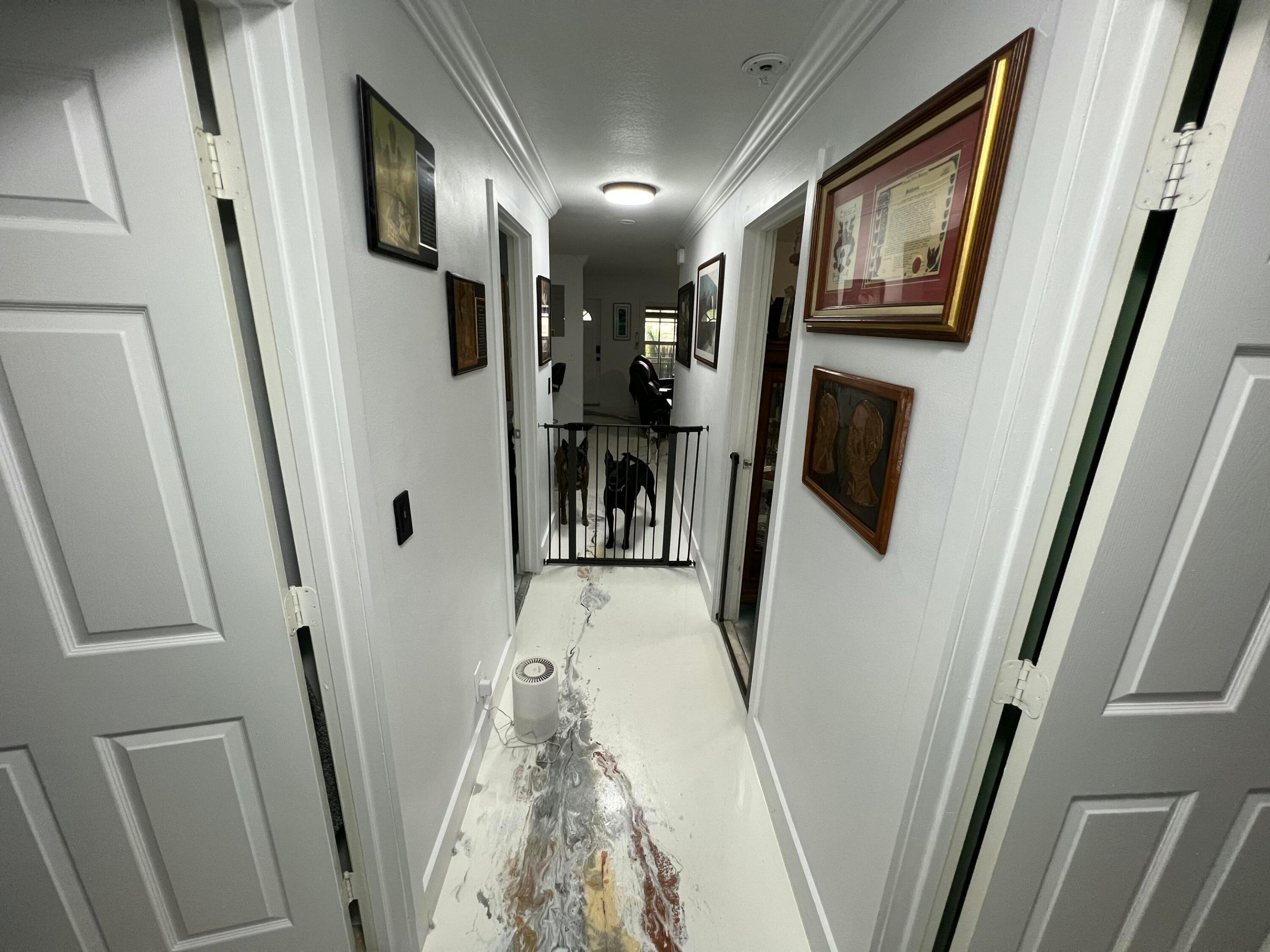 ROYAL PALM PARK - Residential