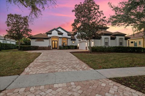 A home in Palm Harbor