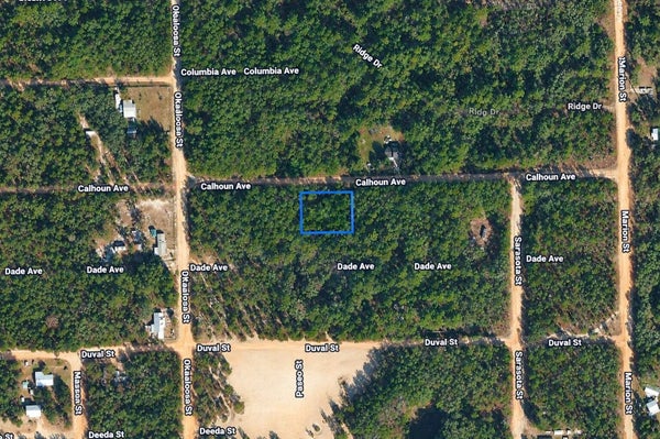 313 CALHOUN AVE, FLORAHOME, FL 32140 - Image ac83f4dd7eb03752b1ee3cb4643f63aa/127437116
