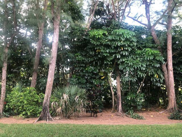 SUGAR SANDS CONDO 10 - Residential Lease