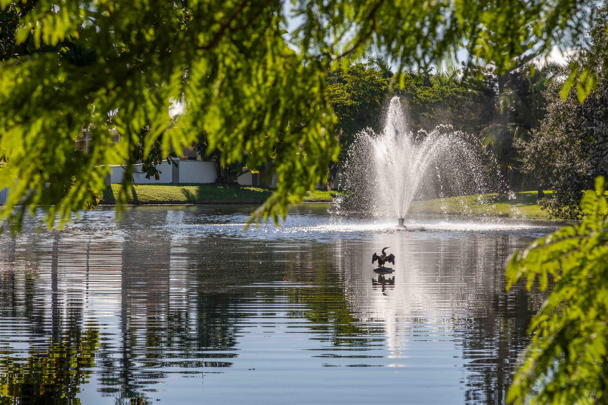 VICTORIA VILLAGE G CONDO - Residential Lease