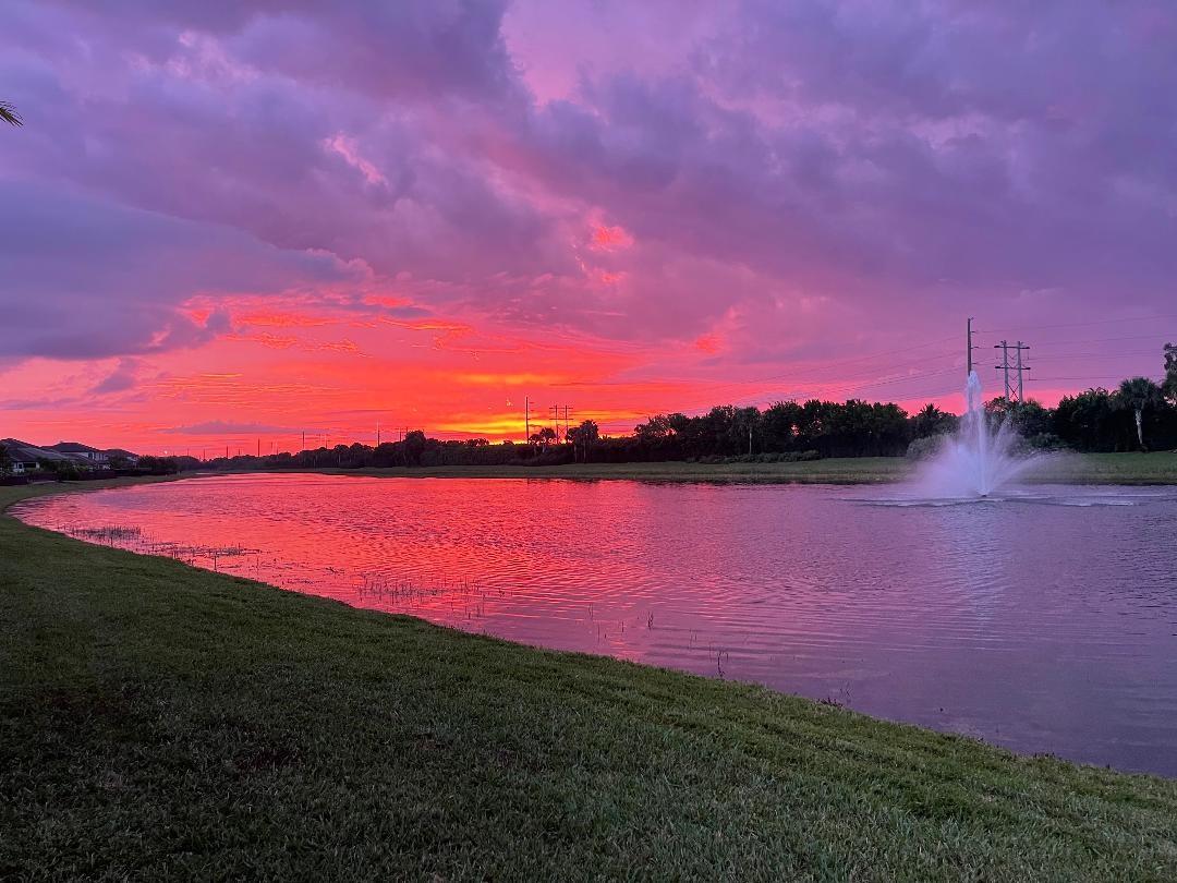 Palm Meadows Estates - Residential