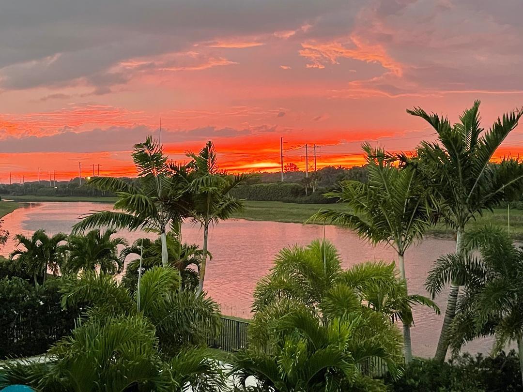 Palm Meadows Estates - Residential