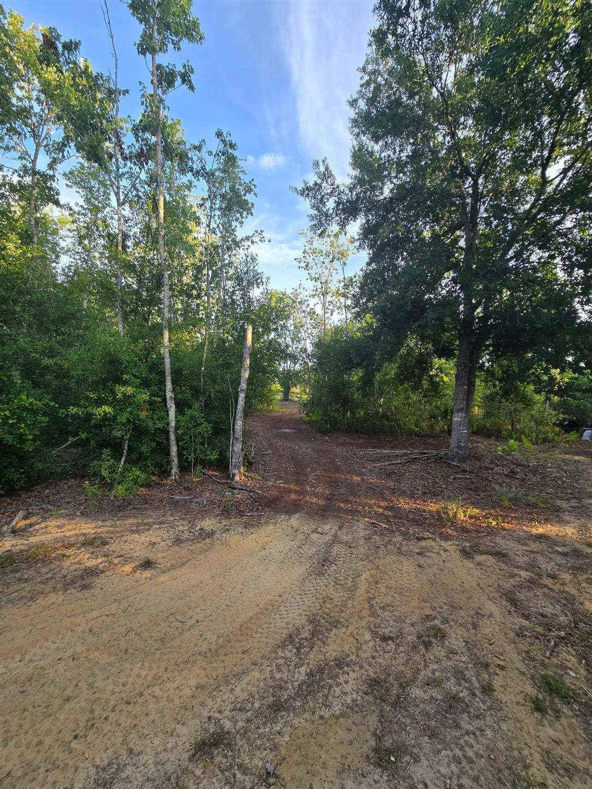 Southern Colonization Co - Land