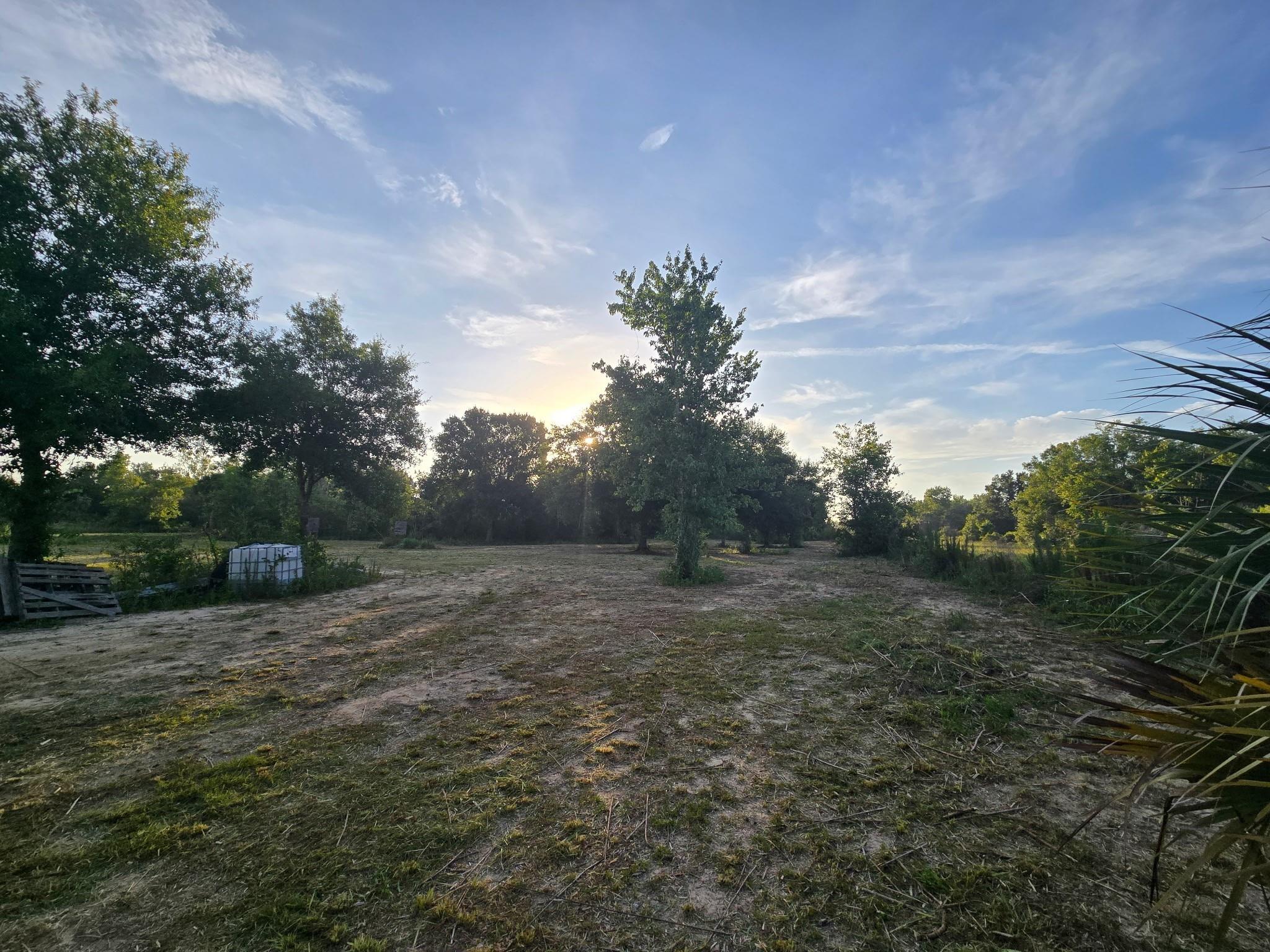 Southern Colonization Co - Land