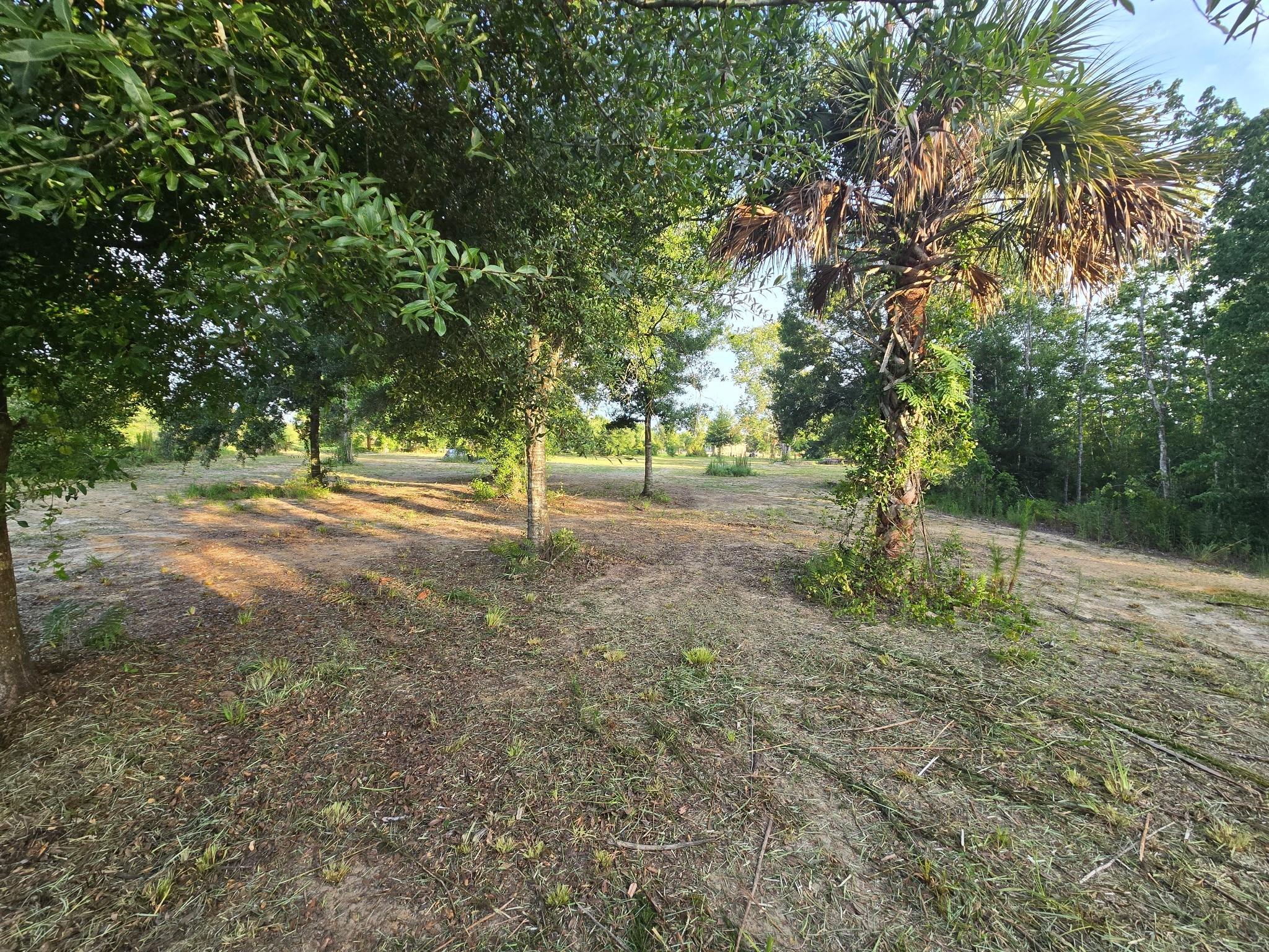 Southern Colonization Co - Land