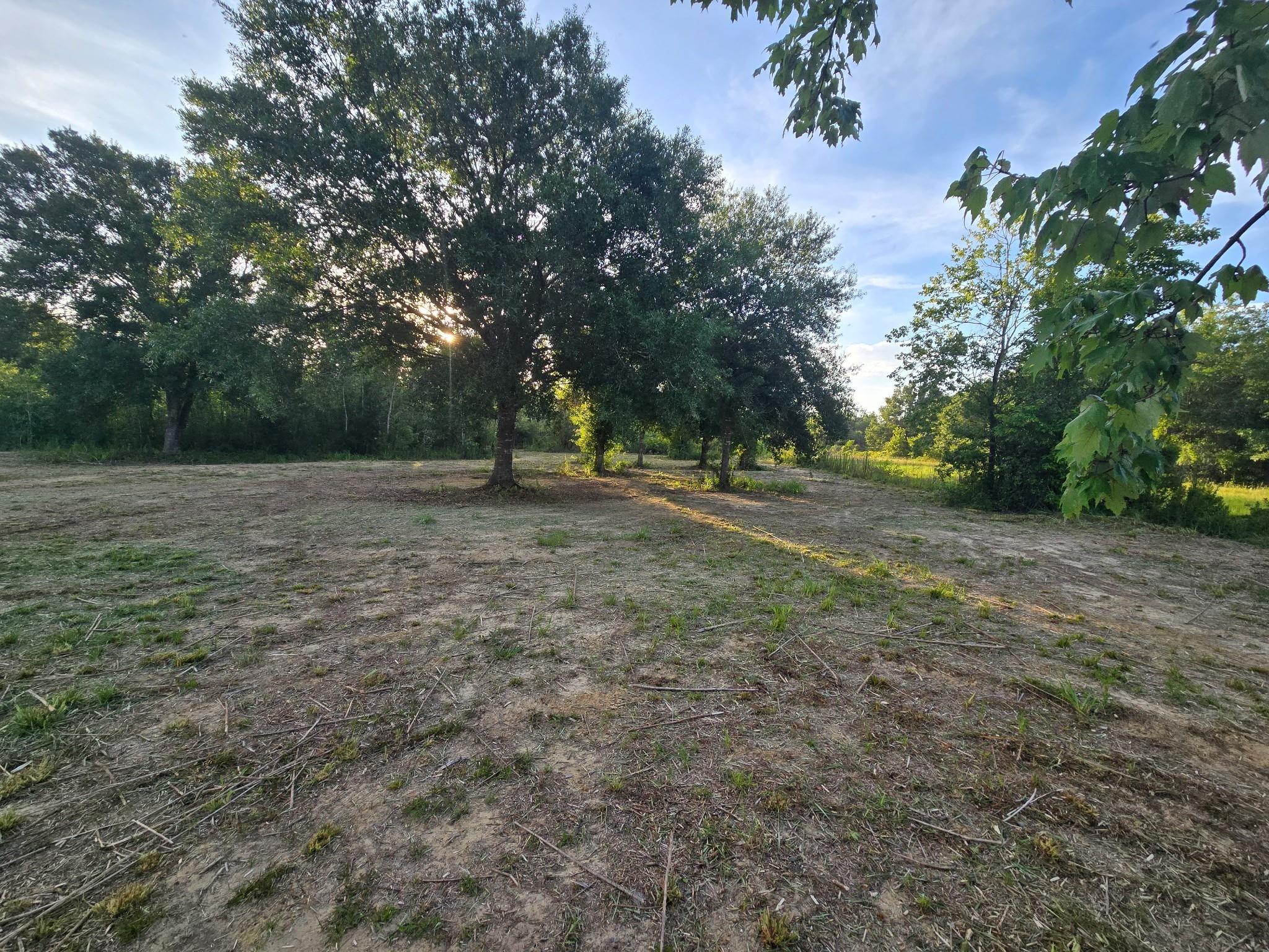 Southern Colonization Co - Land