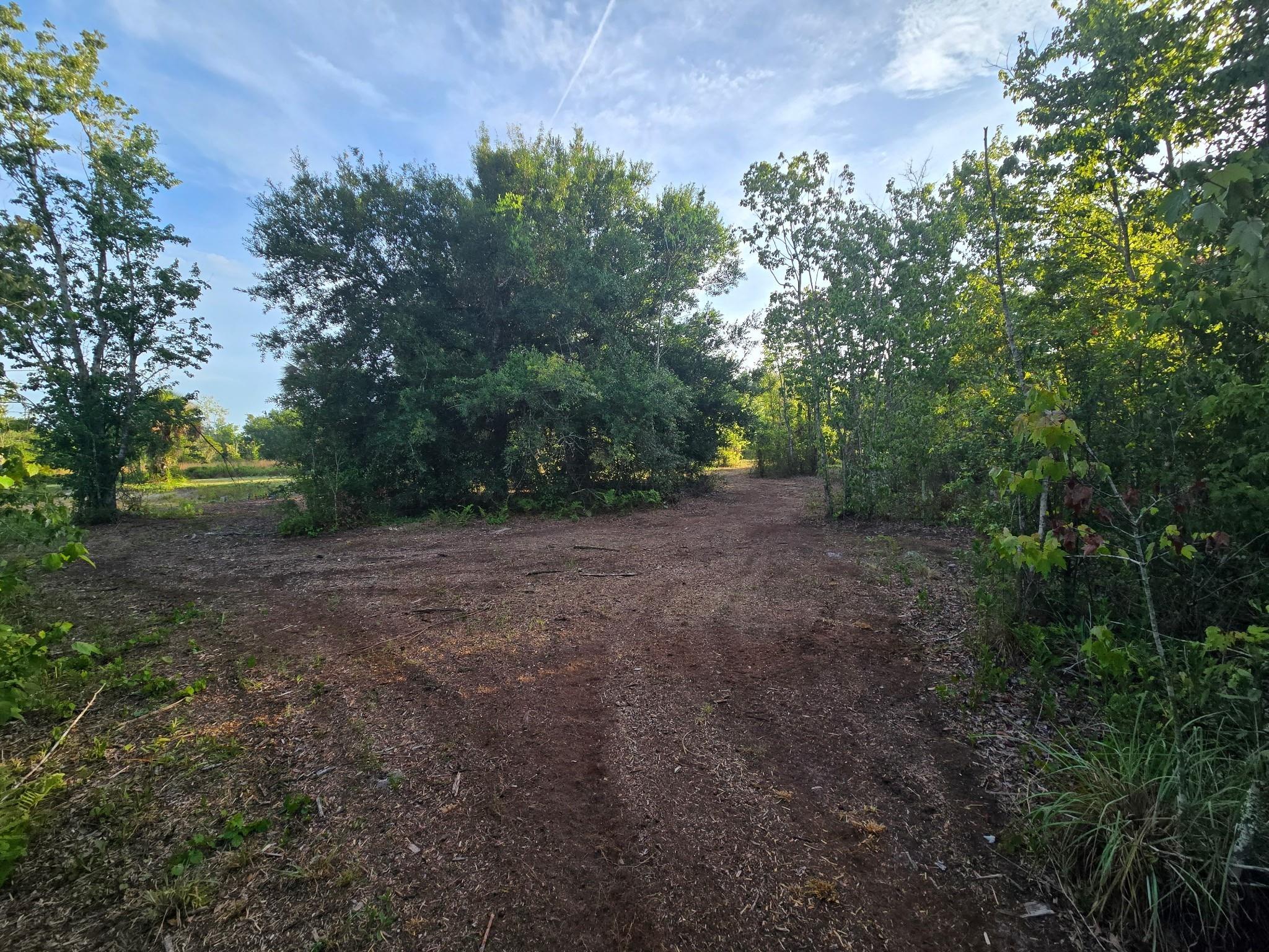 Southern Colonization Co - Land