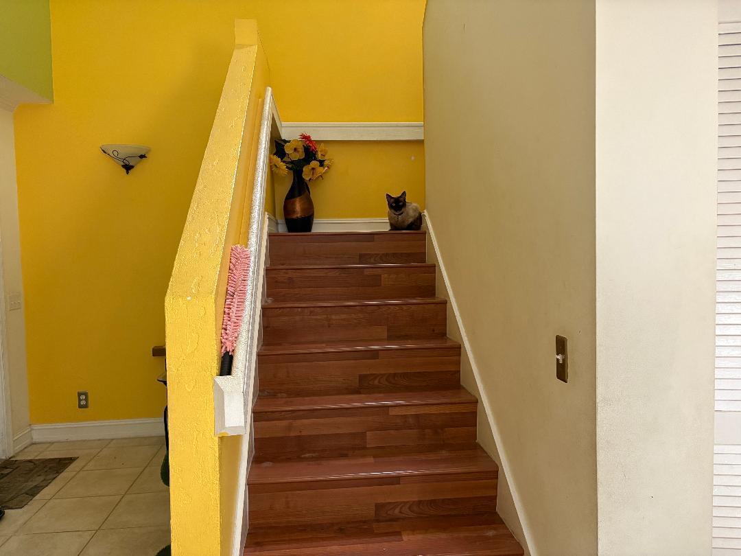 OAKWOOD - Residential