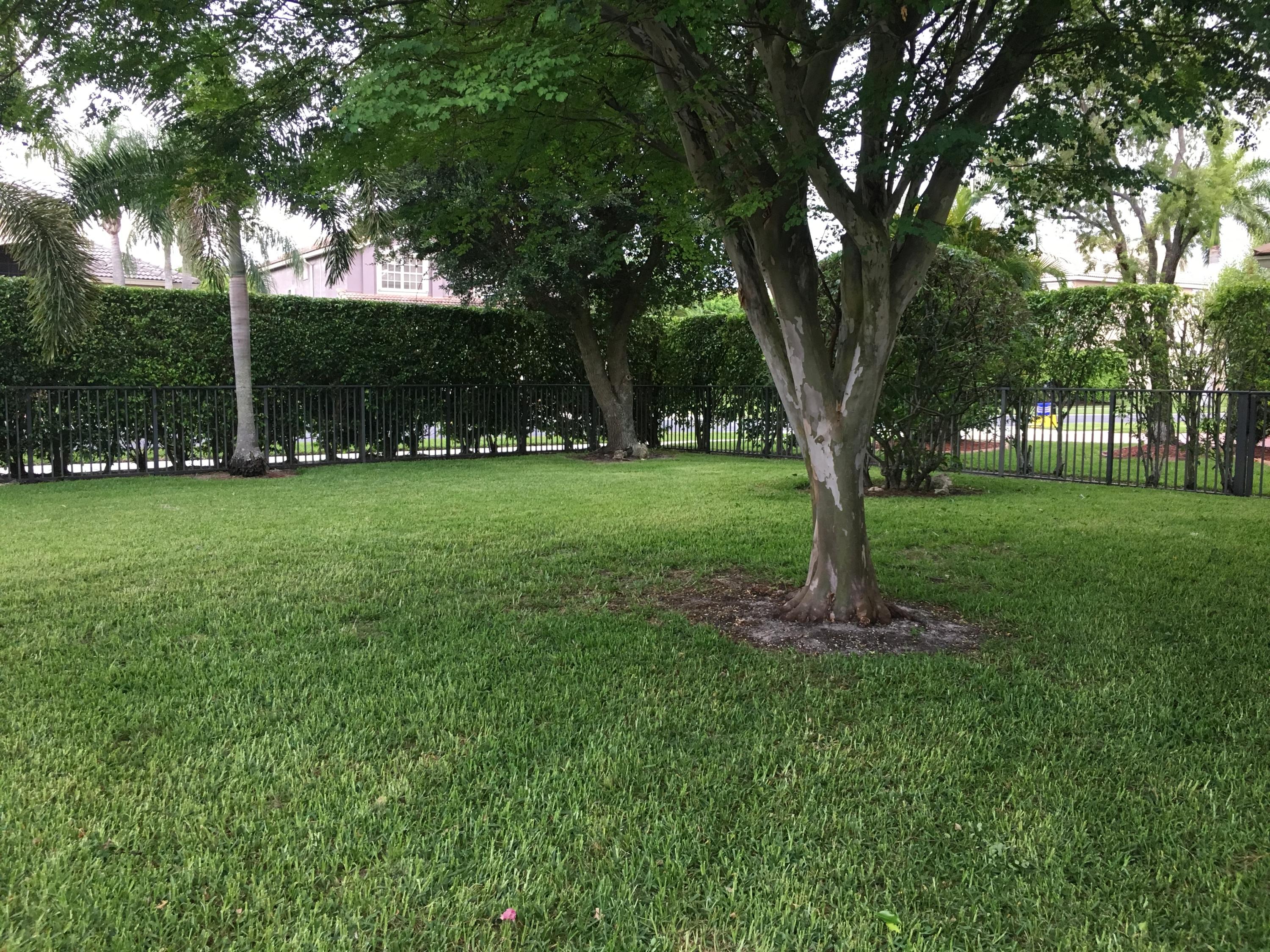 BOCA FALLS/CASCADES - Residential