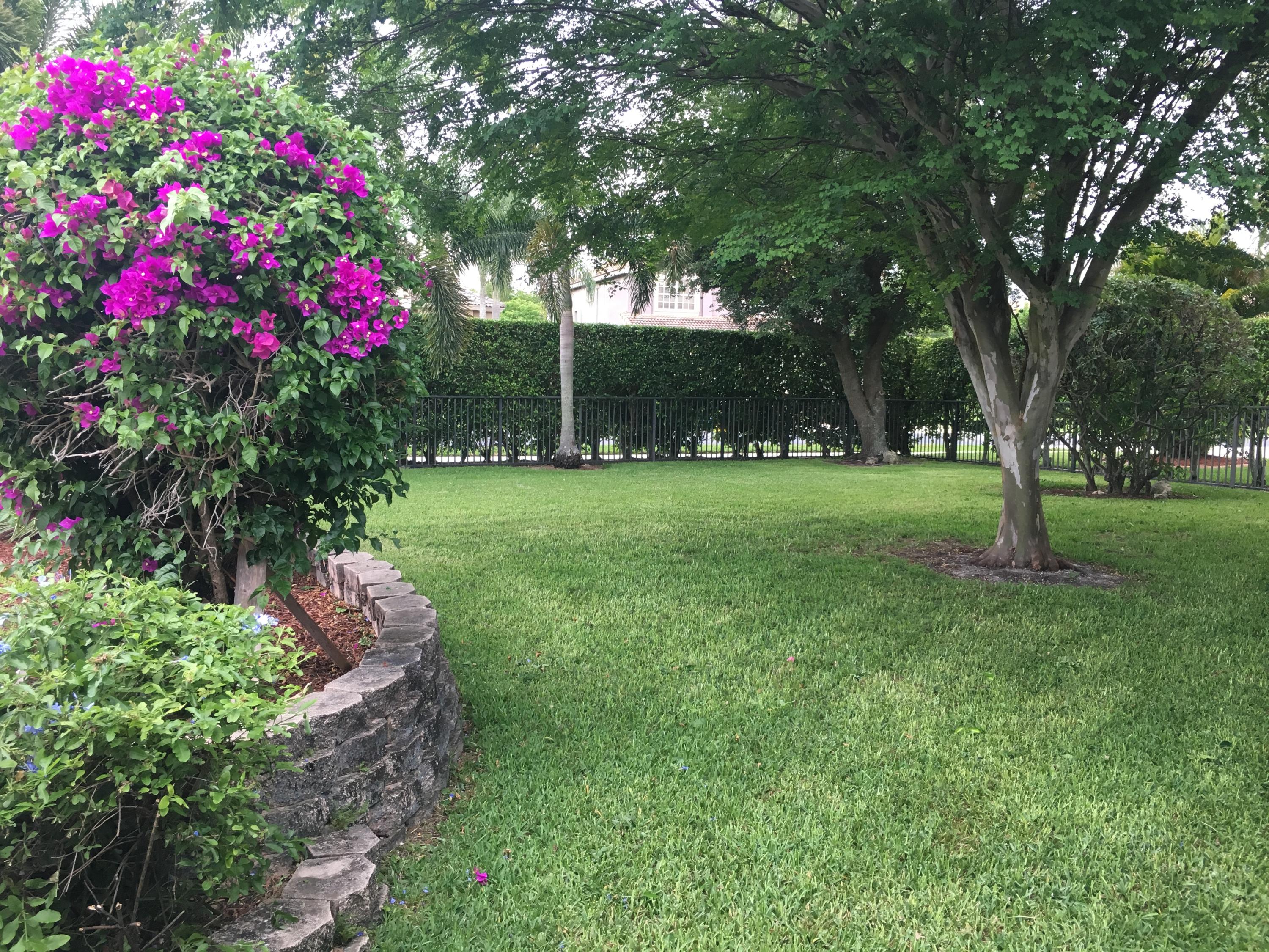 BOCA FALLS/CASCADES - Residential