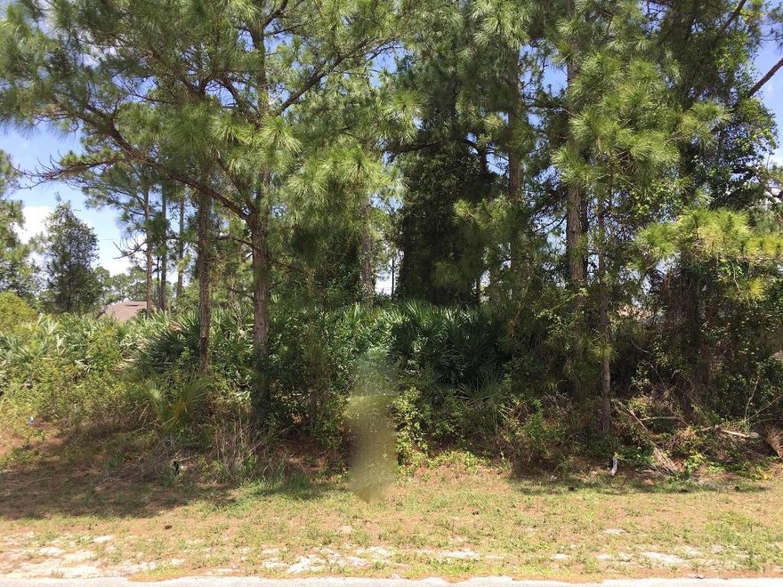 Standard lot in the desirable Rosser / Gatlin area.