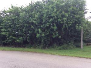 PORT ST LUCIE SECTION 07 - Land