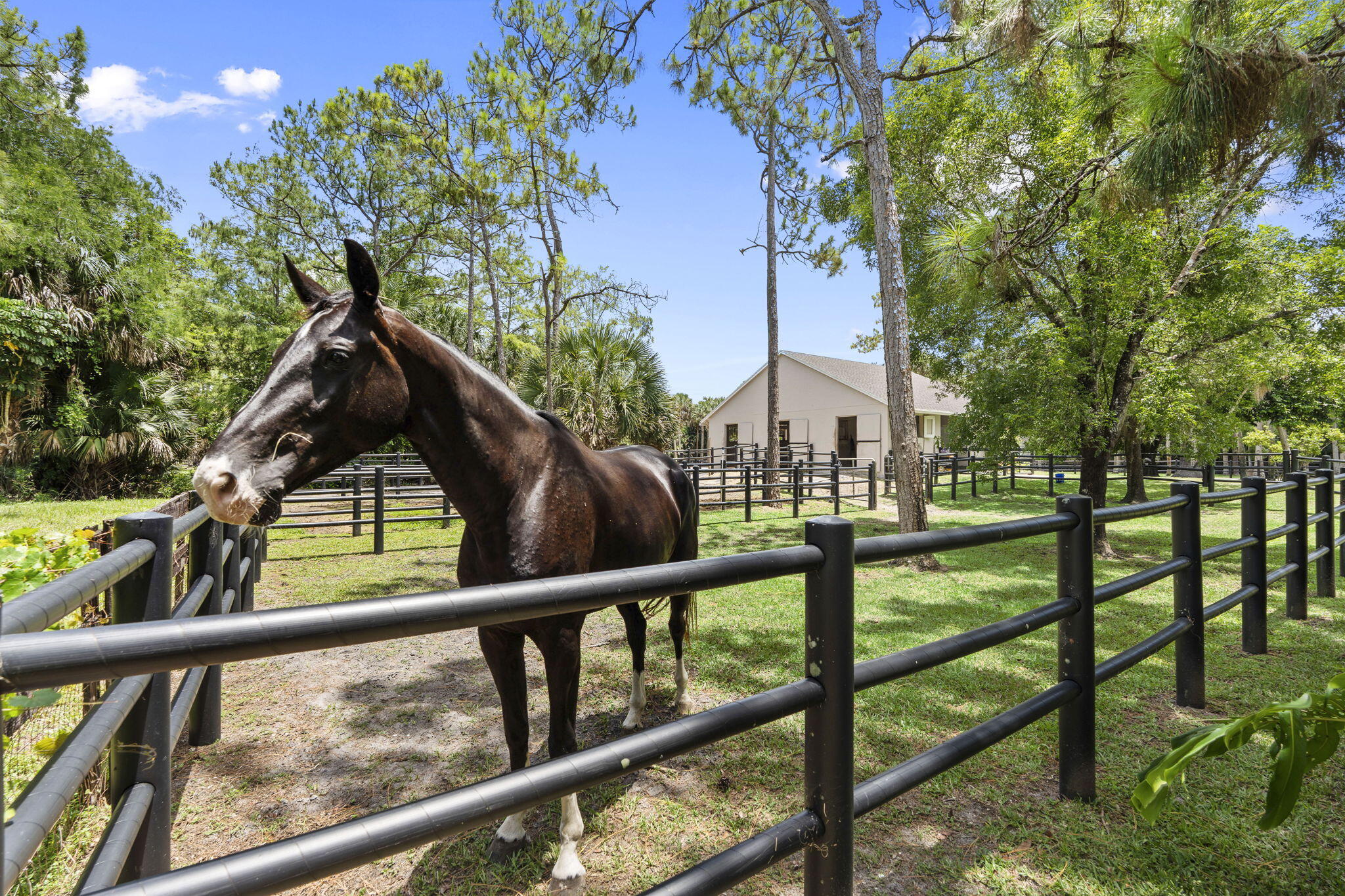 FOX TRAIL - Residential
