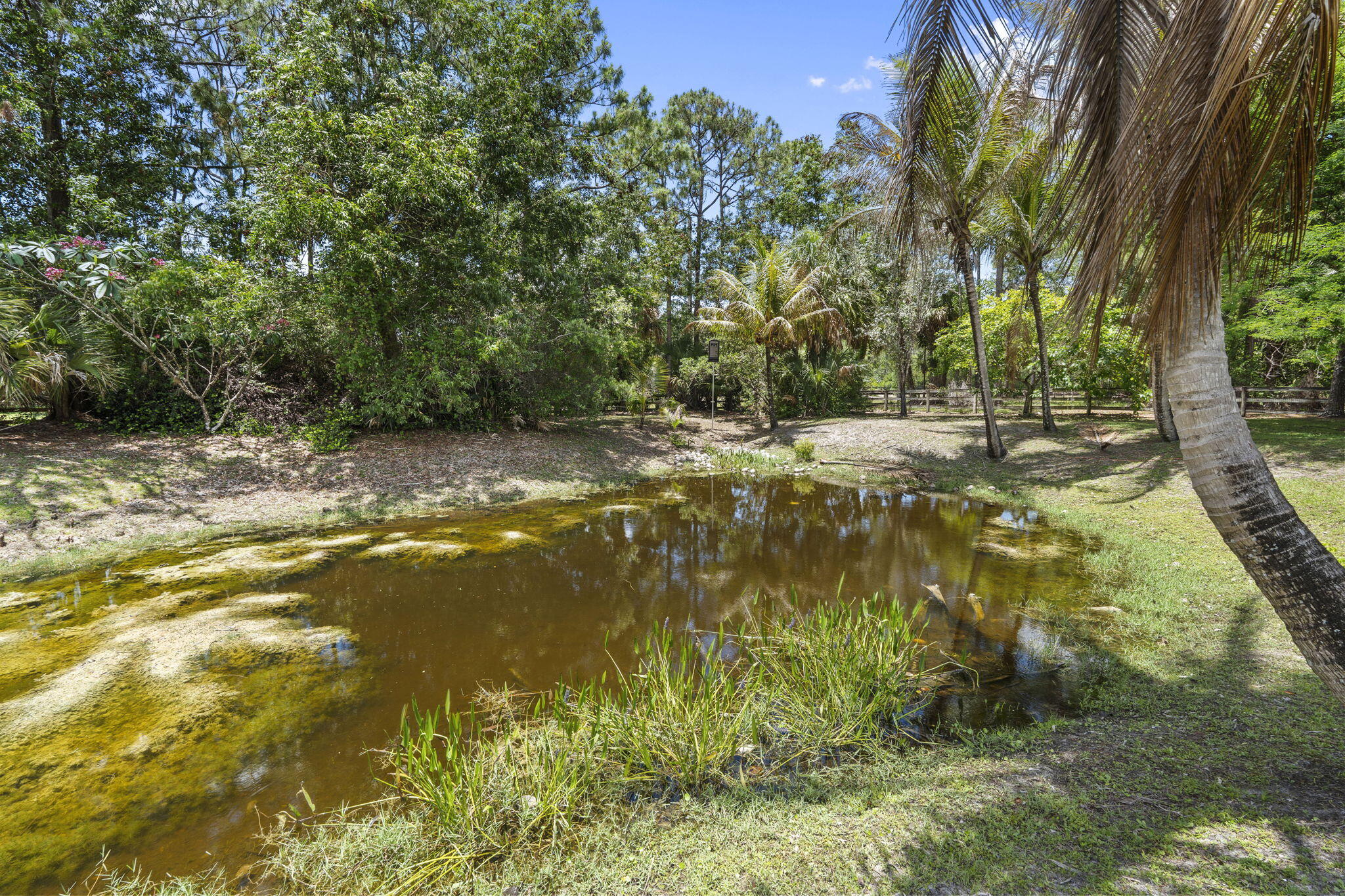 FOX TRAIL - Residential