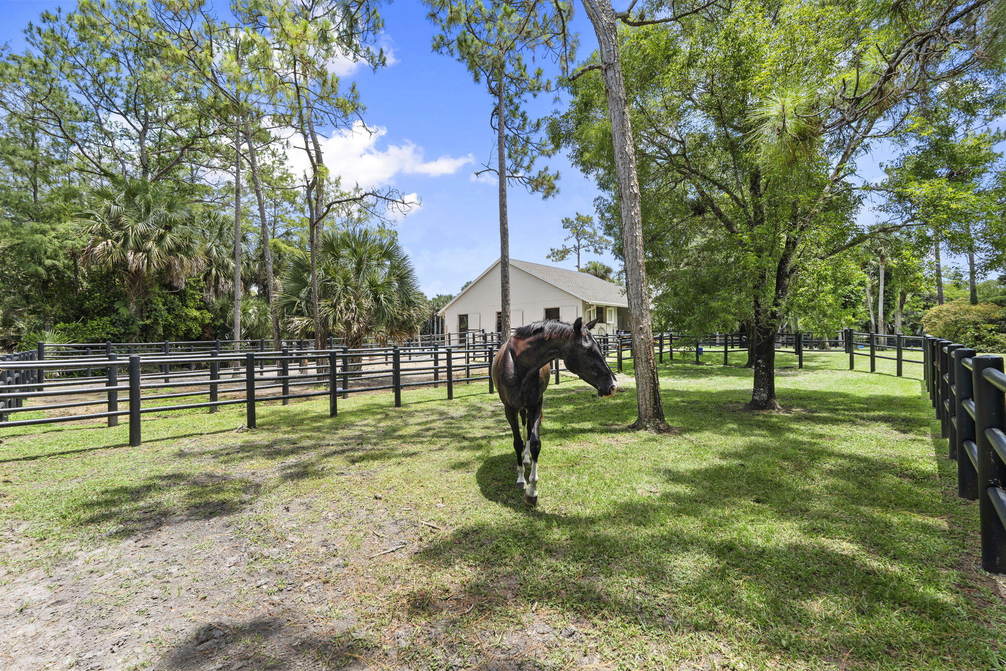 FOX TRAIL - Residential