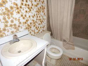 PINE TRAIL SEC 4 - Residential