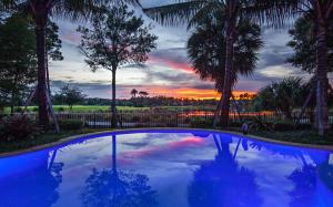 OLD PALM - Residential