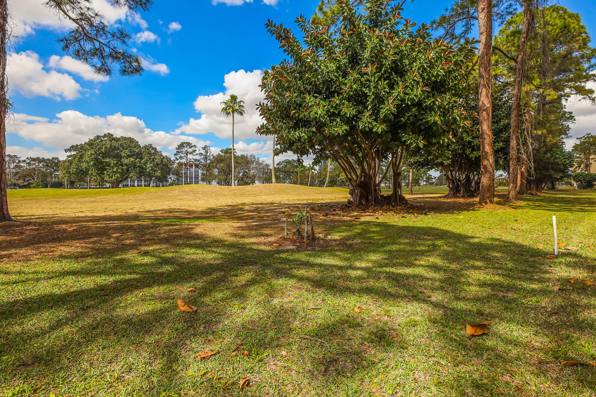 POINCIANA PLACE CONDO 1,2,8 AND 9 - Residential