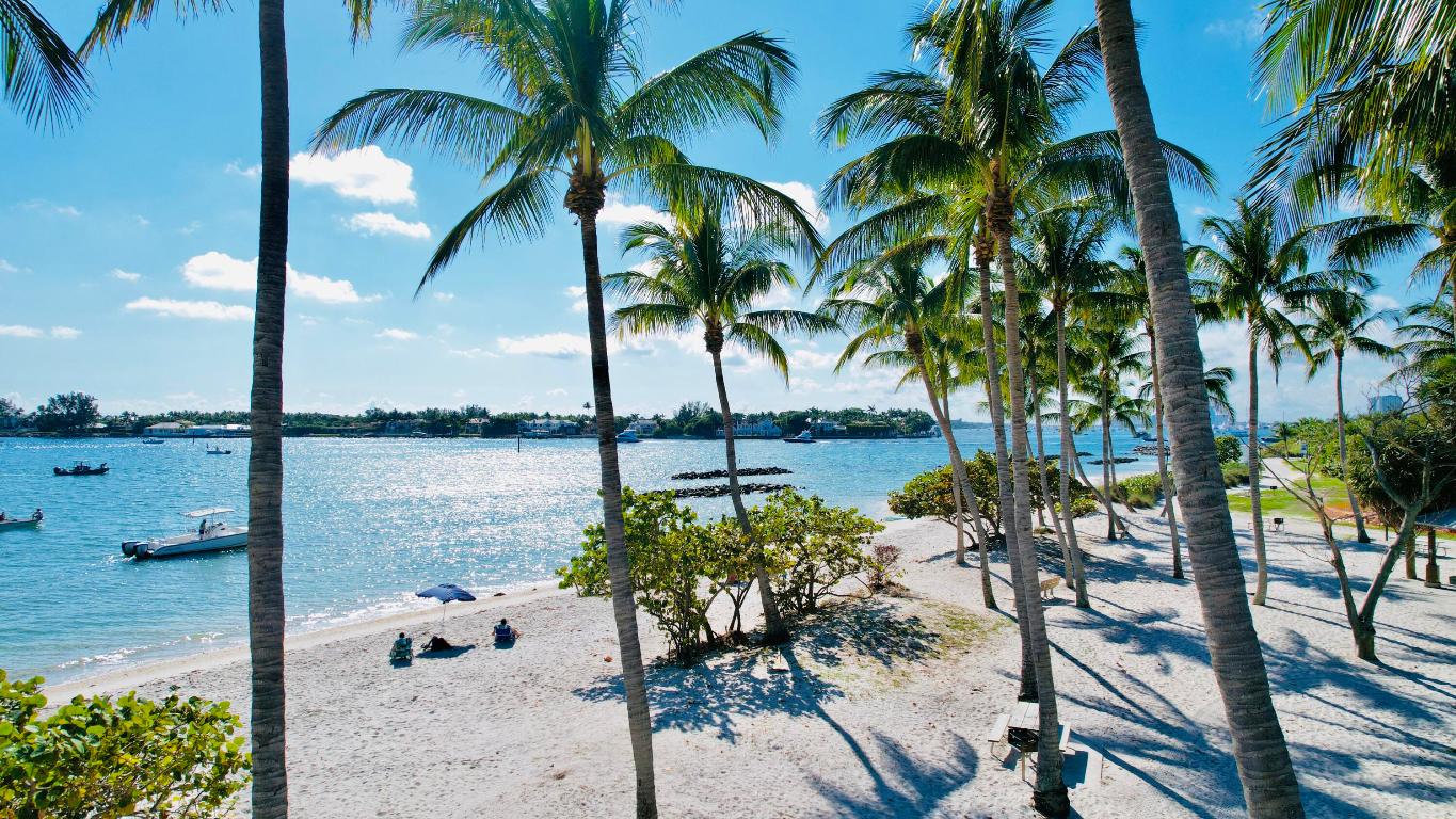 Via Delfino - Residential