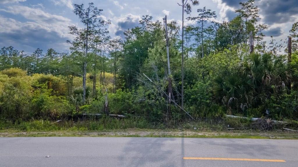 GOLDEN GATE EST - Land