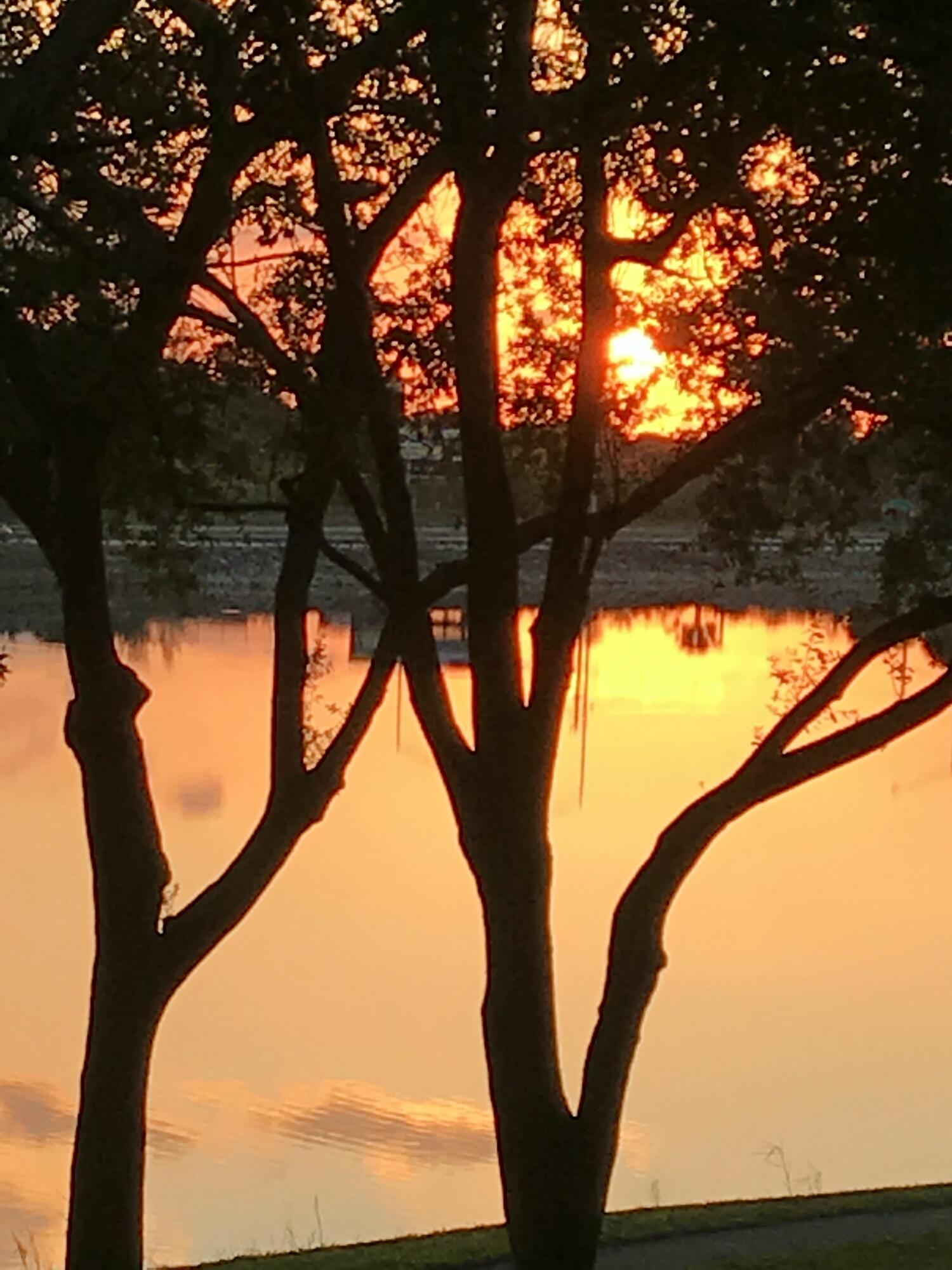 BLUE LAKE APTS CONDO - Residential