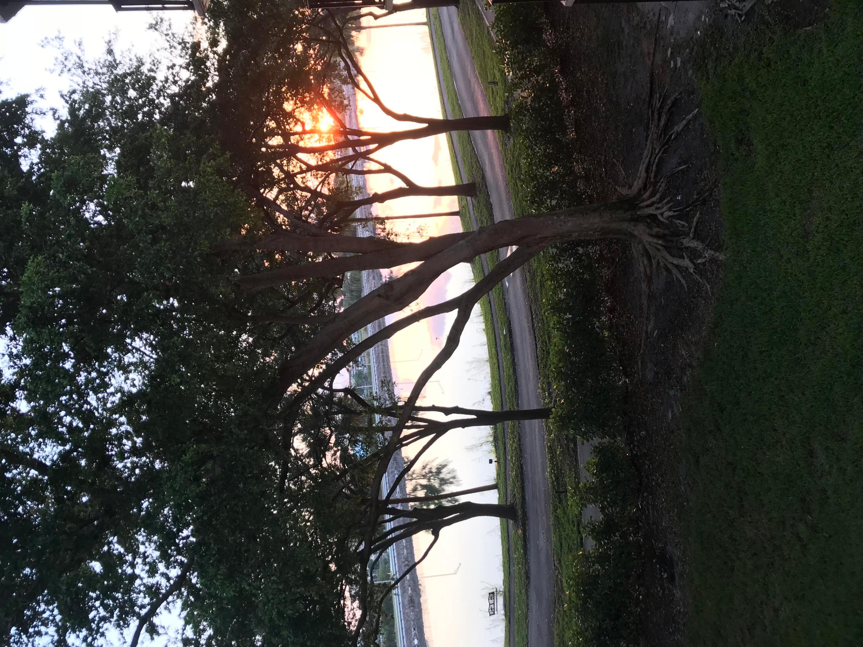 BLUE LAKE APTS CONDO - Residential