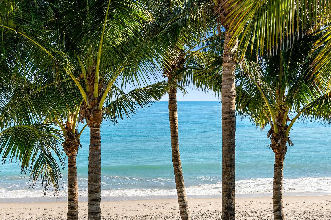 VEROMAR - Residential