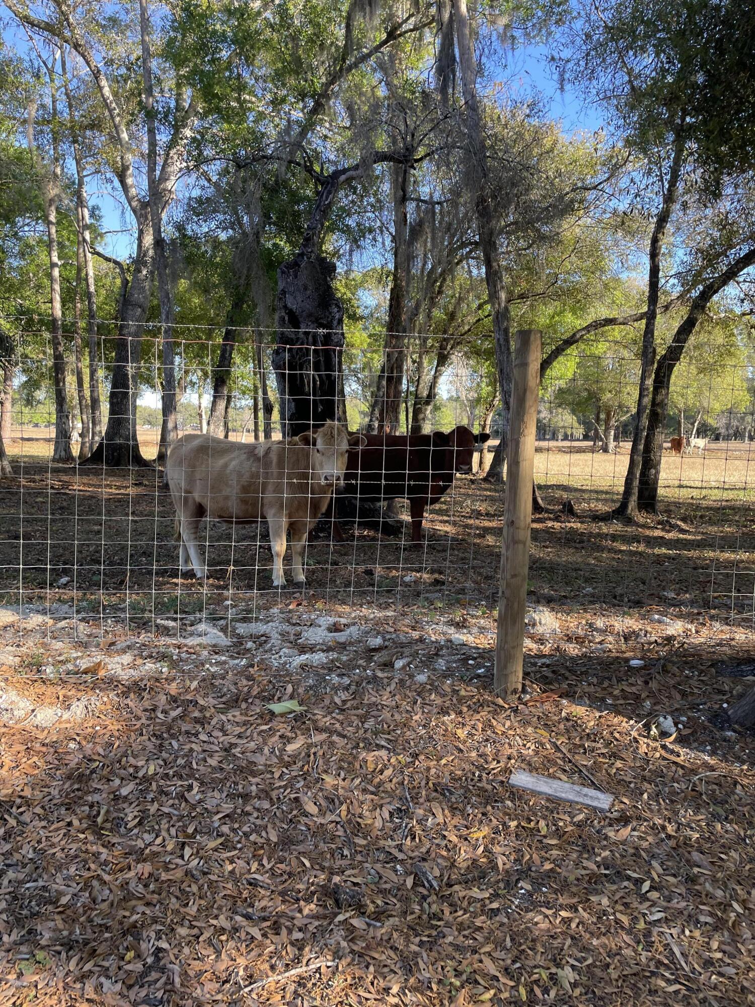 LA BELLE RANCHETTES S/D UNREC - Residential