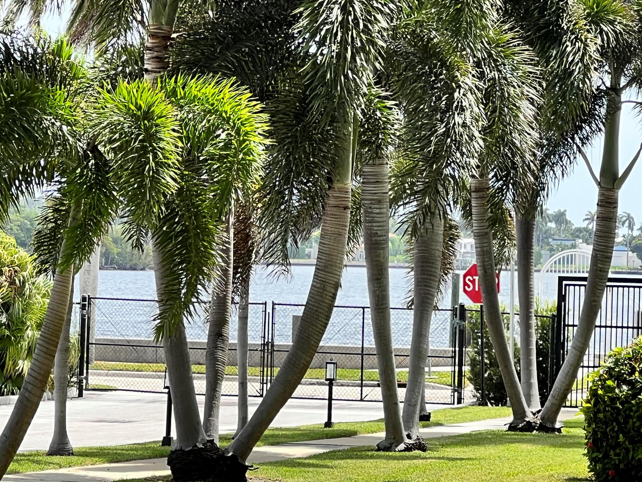 PORTOFINO SOUTH CONDO - Residential Lease
