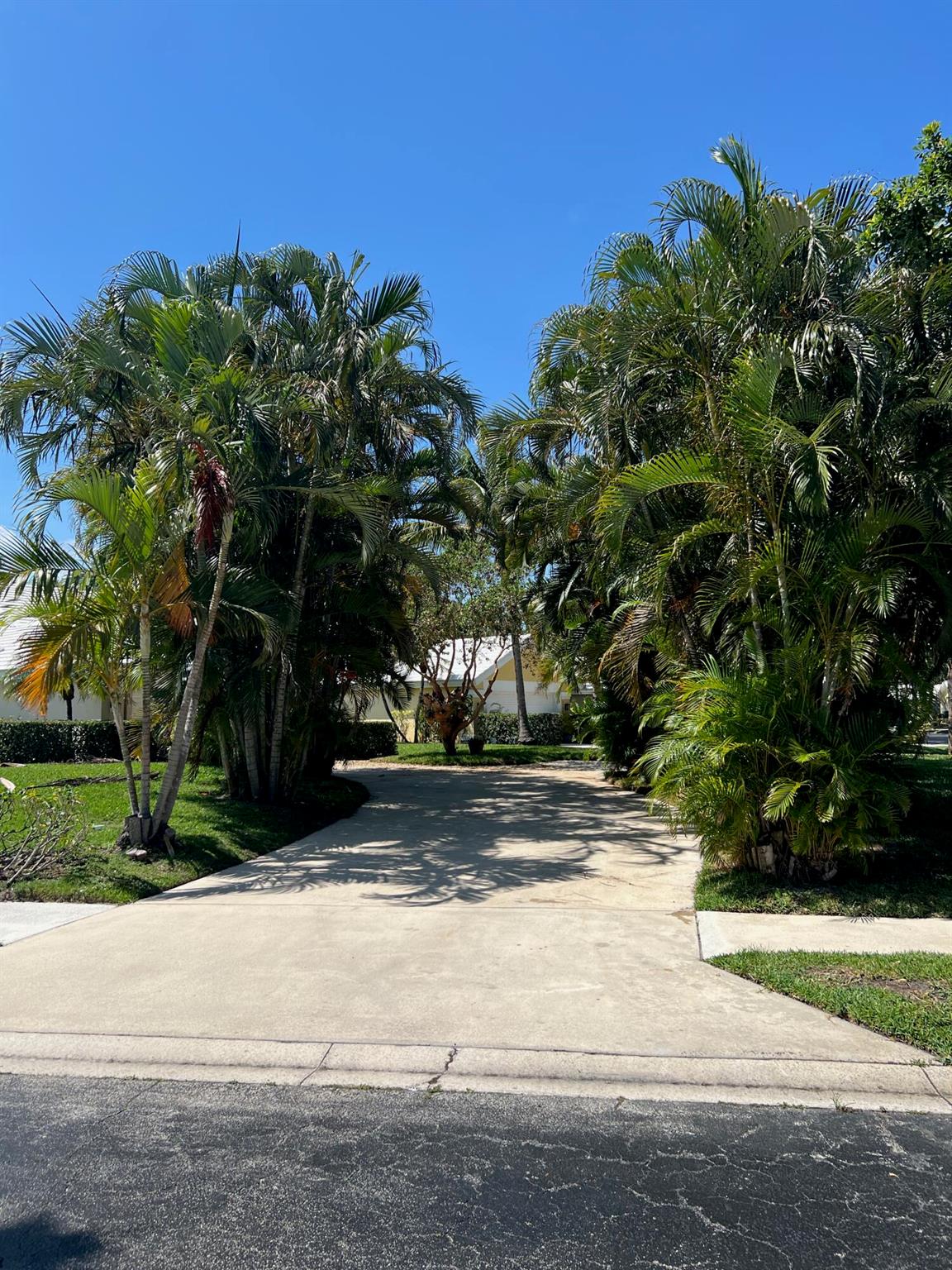 2387 Oak Tree Lane