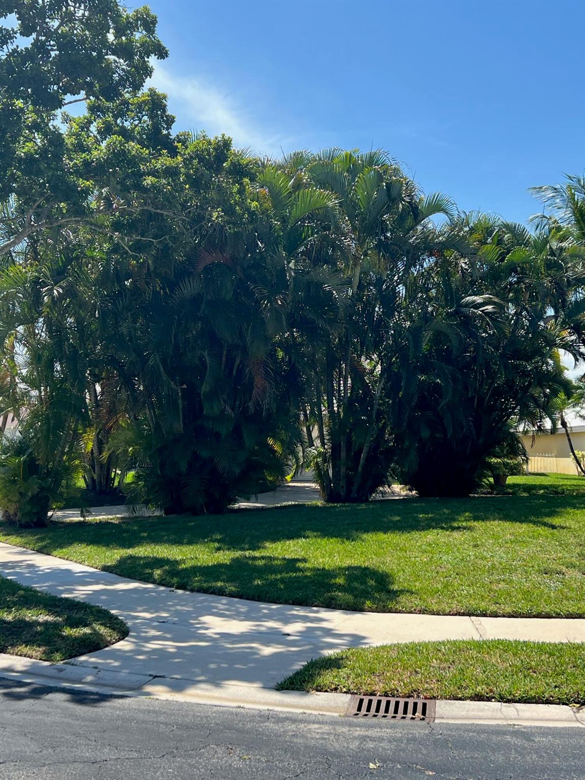 2387 Oak Tree Lane