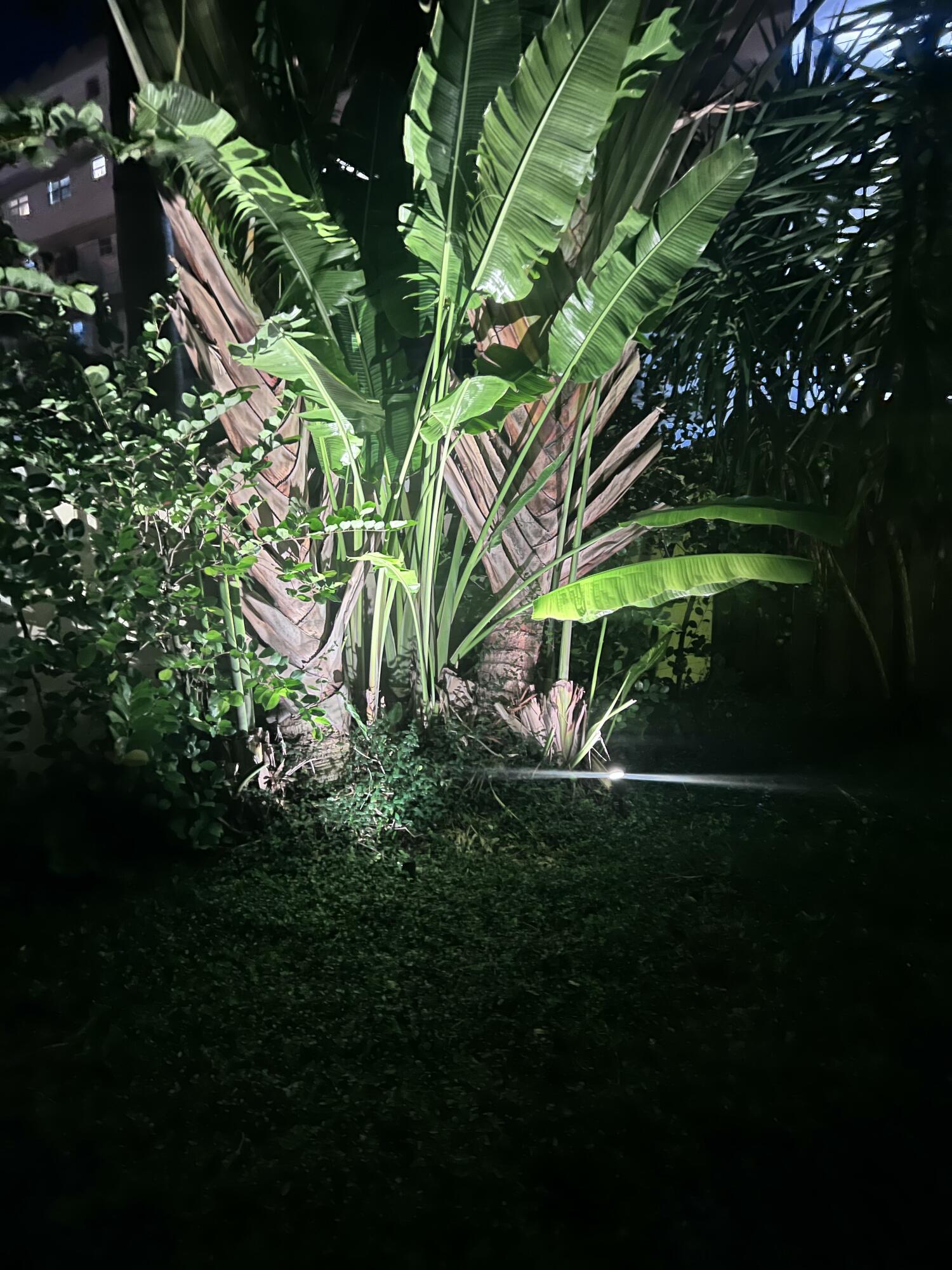 Old Florida Bungalow - Residential