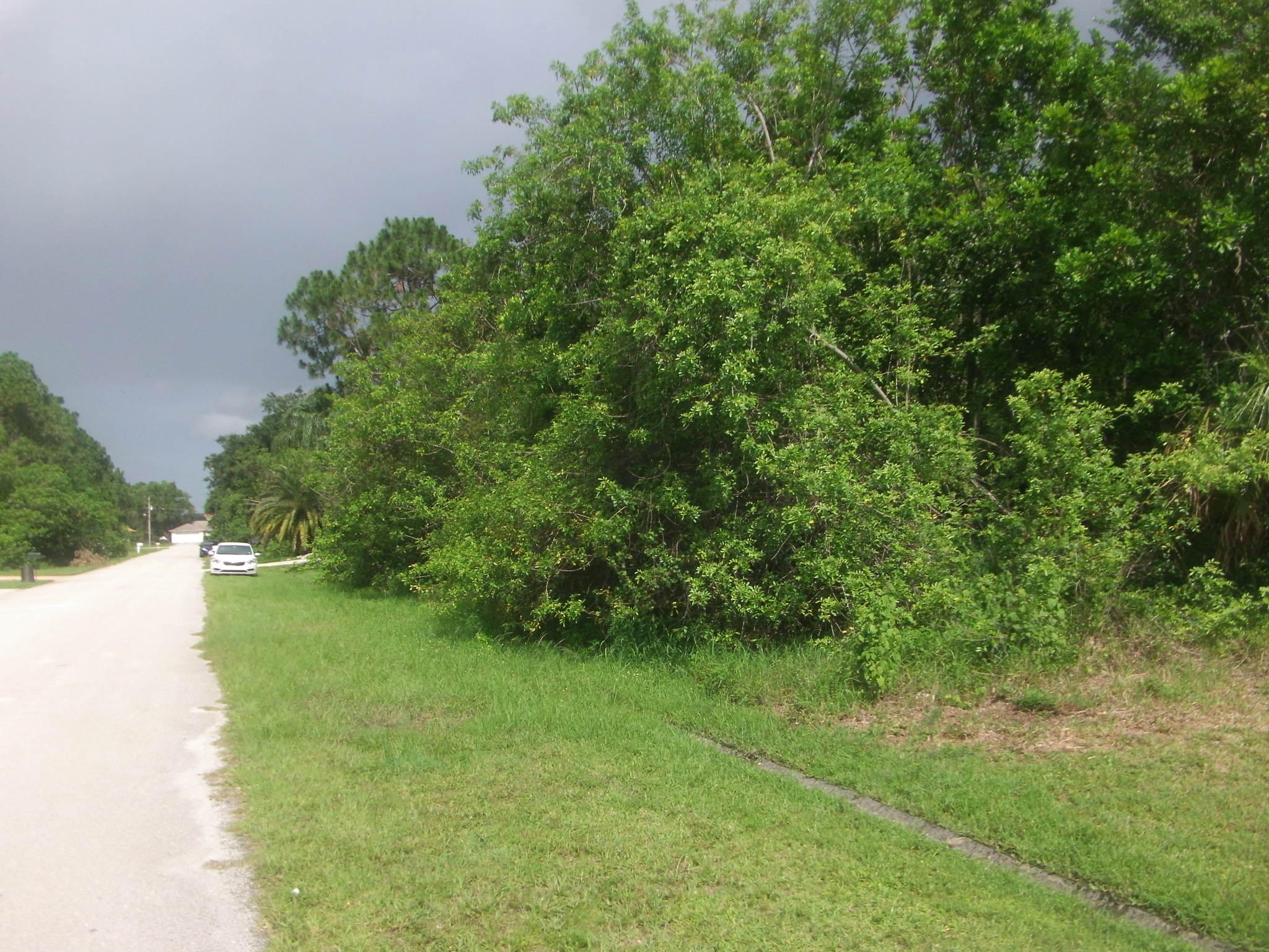 GREAT AREA, CLOSE TO PAAR, ROSSER AND I-95. YOU CAN BUILD YOUR DREAM HOME SURRONDED BY NEW HOMES. BRING YOUR OFFER.