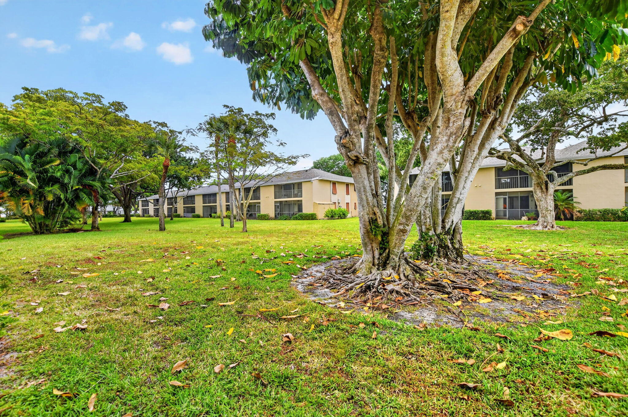 SANCTUARY PINES IN BOCA RATON CONDO - Residential