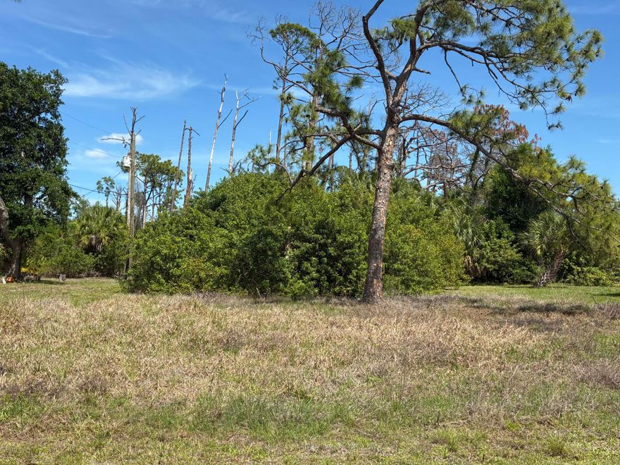 LOCATION LOCATION, hey investors here's this great and  beautiful residential lot located in the heart of Port Charlotte where you can build your own single family home to your liking.