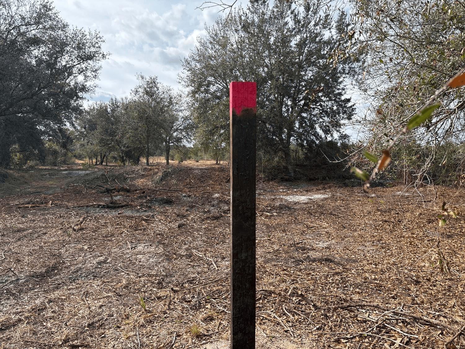 VK471The Viking Estates - Land