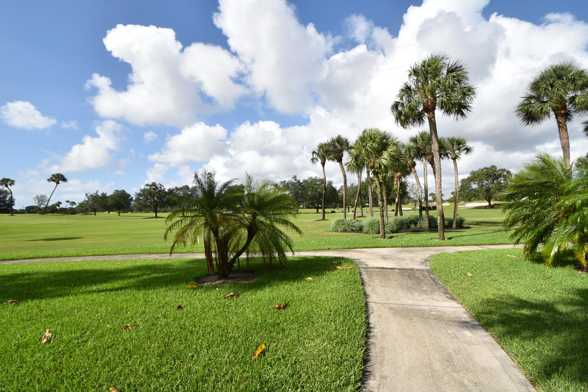 WILLOW WOOD MIDRISE CONDO - Residential