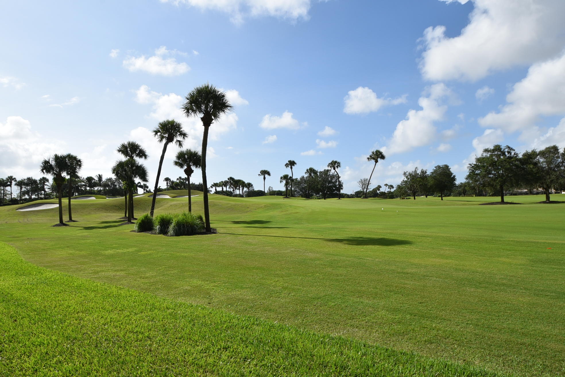 WILLOW WOOD MIDRISE CONDO - Residential