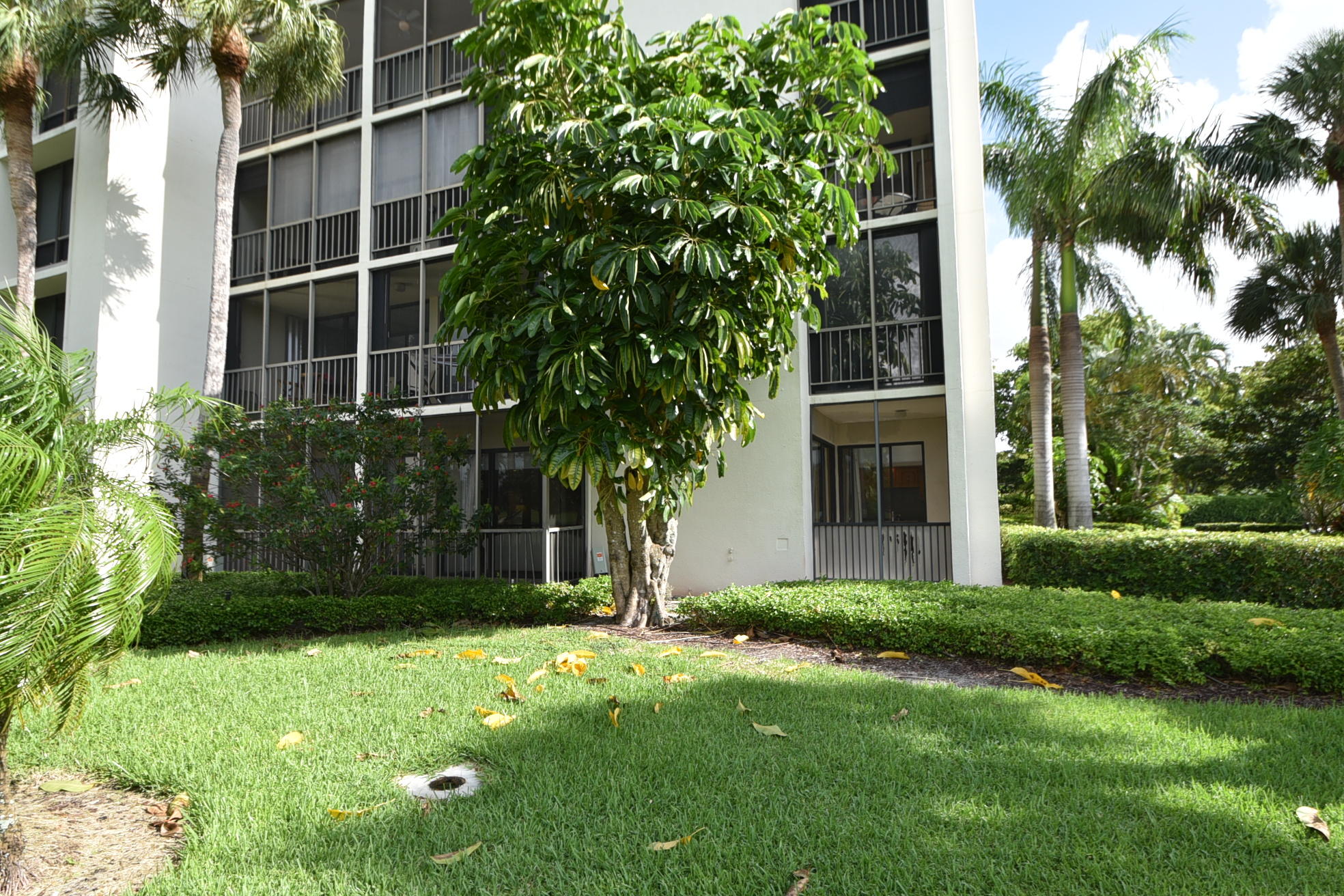 WILLOW WOOD MIDRISE CONDO - Residential