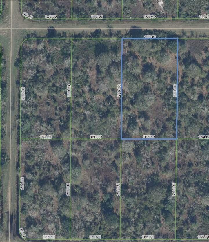 1.13 ACRE VACANT RESIDENTIAL BUILDING LOT LOCATED IN AVON PARK ESTATES NEIGHBORHOOD. LOT SIZE 165' X 300'. NEIGHBORHOOD IS PEACEFUL AND WILDLIFE RUNS FREELY. ENJOY WHAT NATURE HAS TO OFFER BUT BY STILL BEING CLOSE TO TOWN AND HAVING ALL THE AMENITIES WITHIN A 10 MINUTE DRIVE.