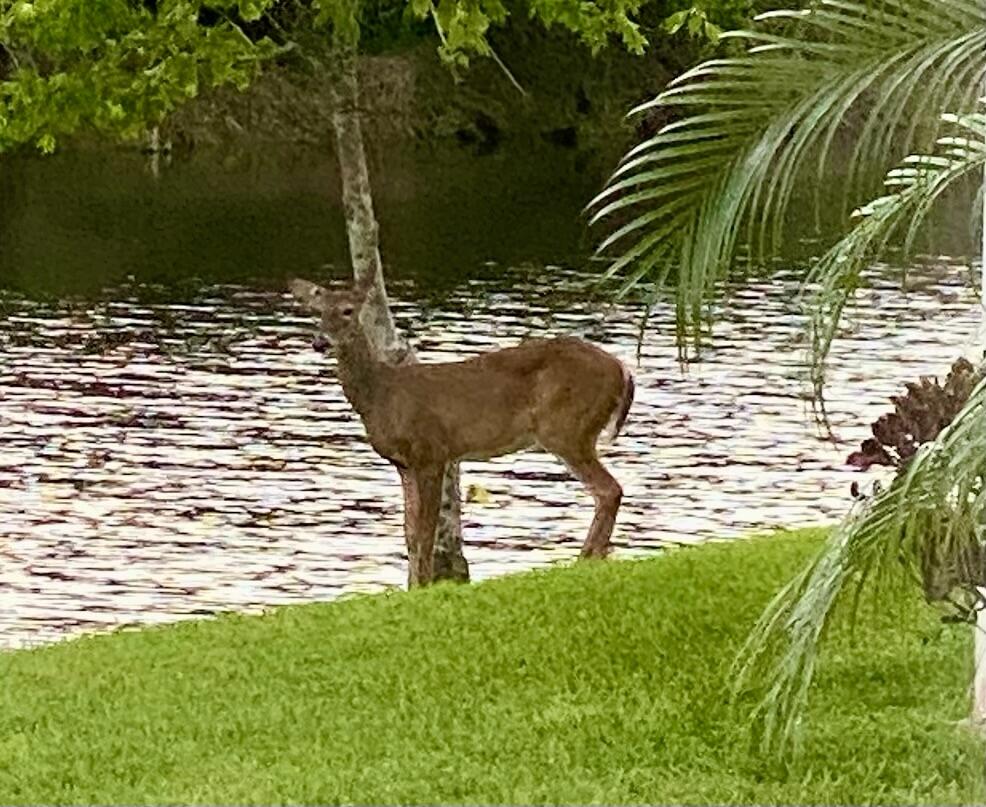 CYPRESS COVE OF JUPITER - Residential