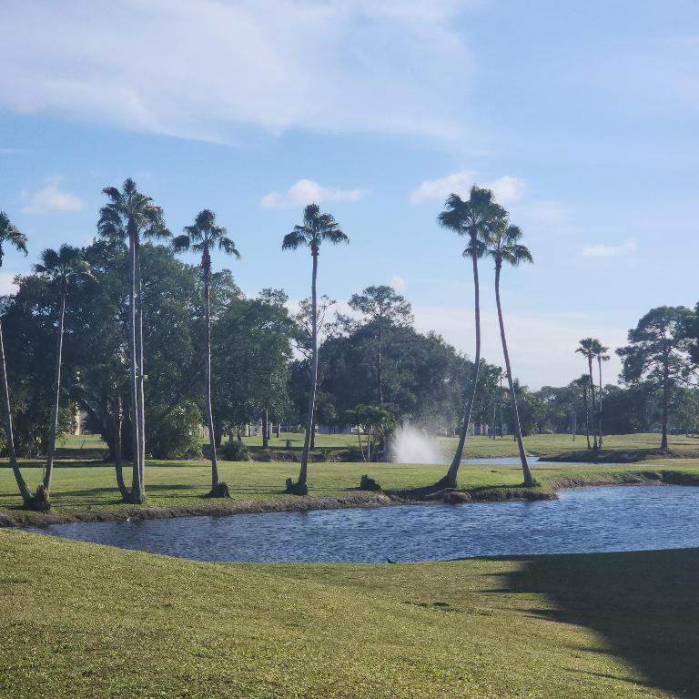 POINCIANA PLACE CONDO A,B AND C - Residential