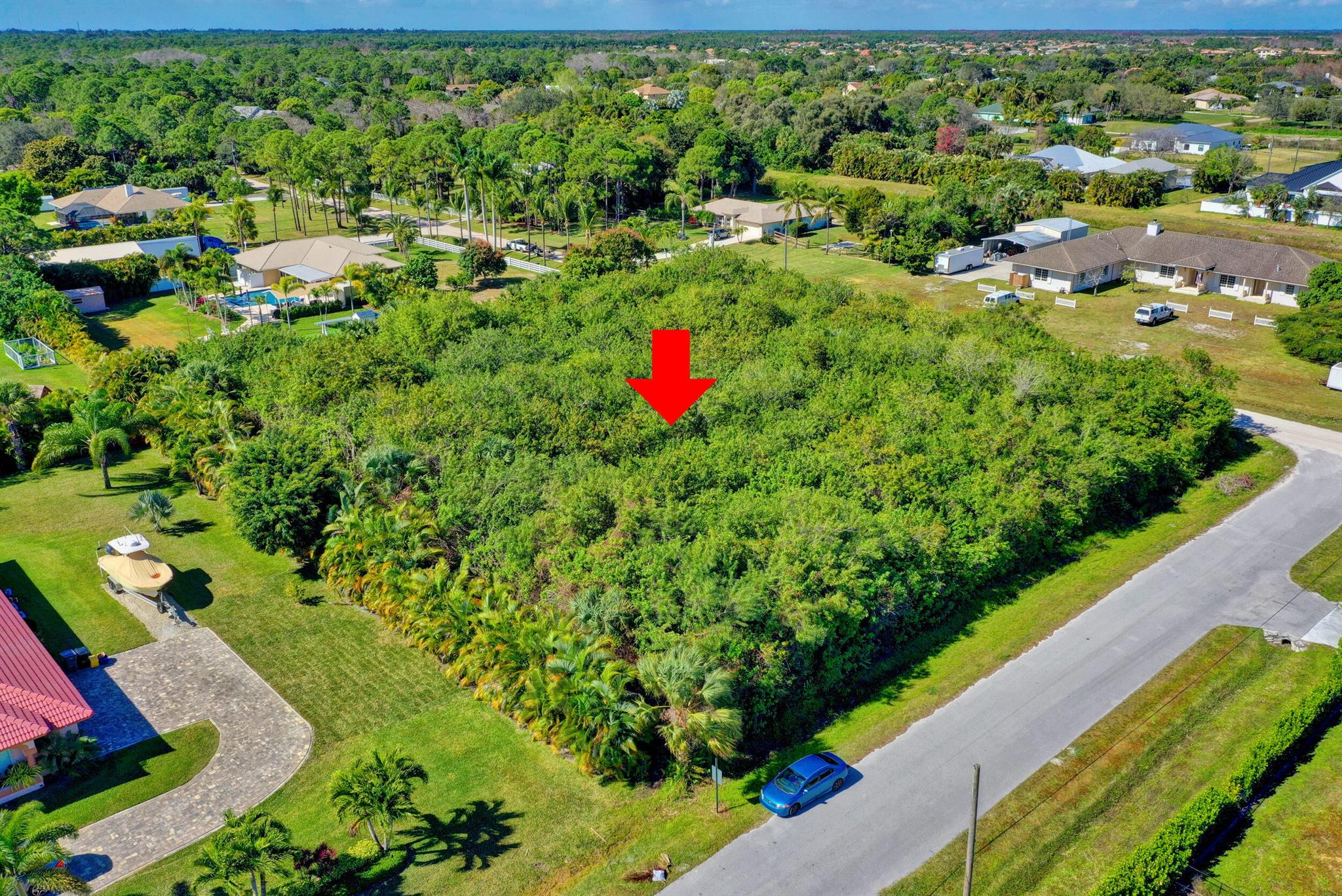 Palm Beach Country Estate - Residential