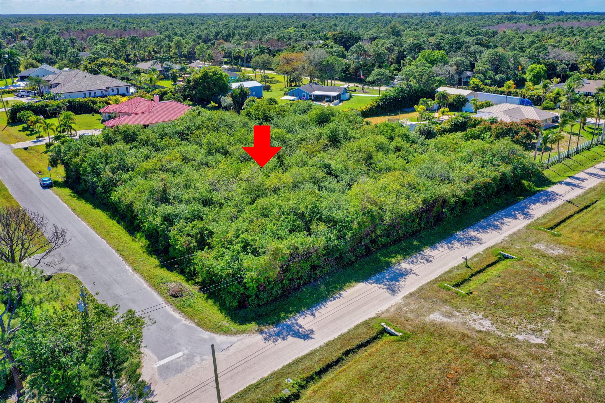 Palm Beach Country Estate - Residential