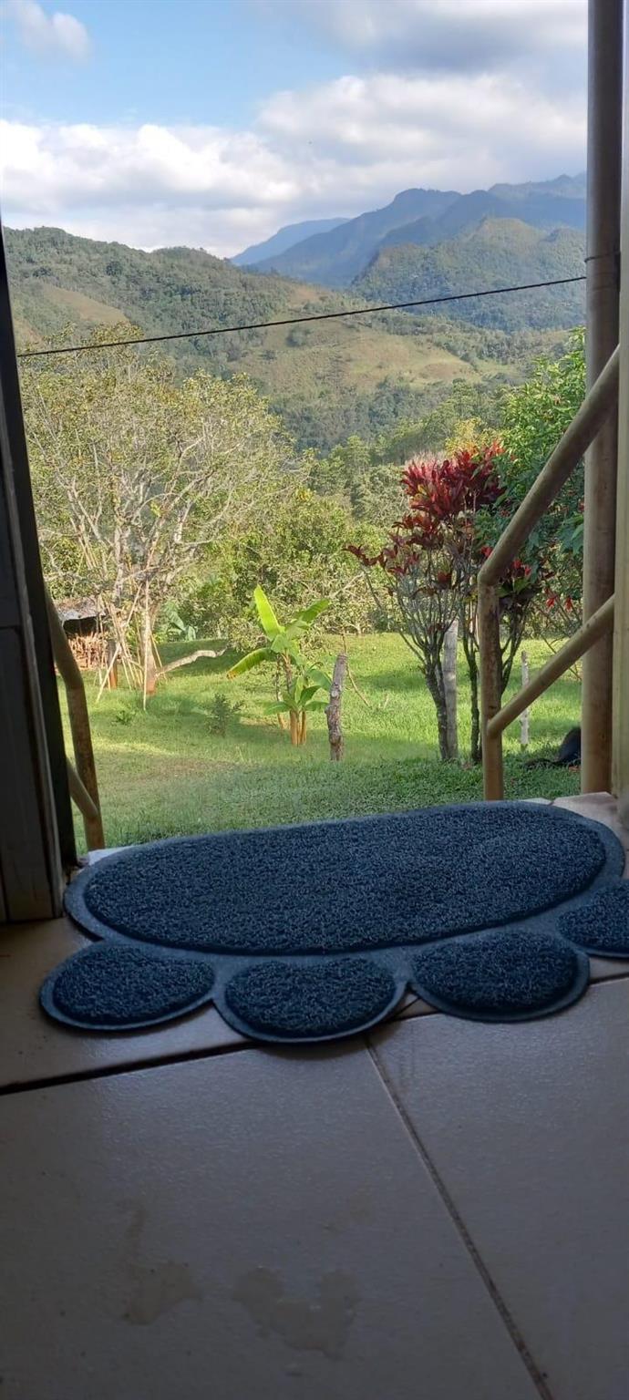 VEREDA EL LIMONAL - Residential